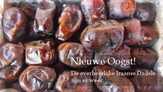 Nieuwe Oogst Iraanse Dadels