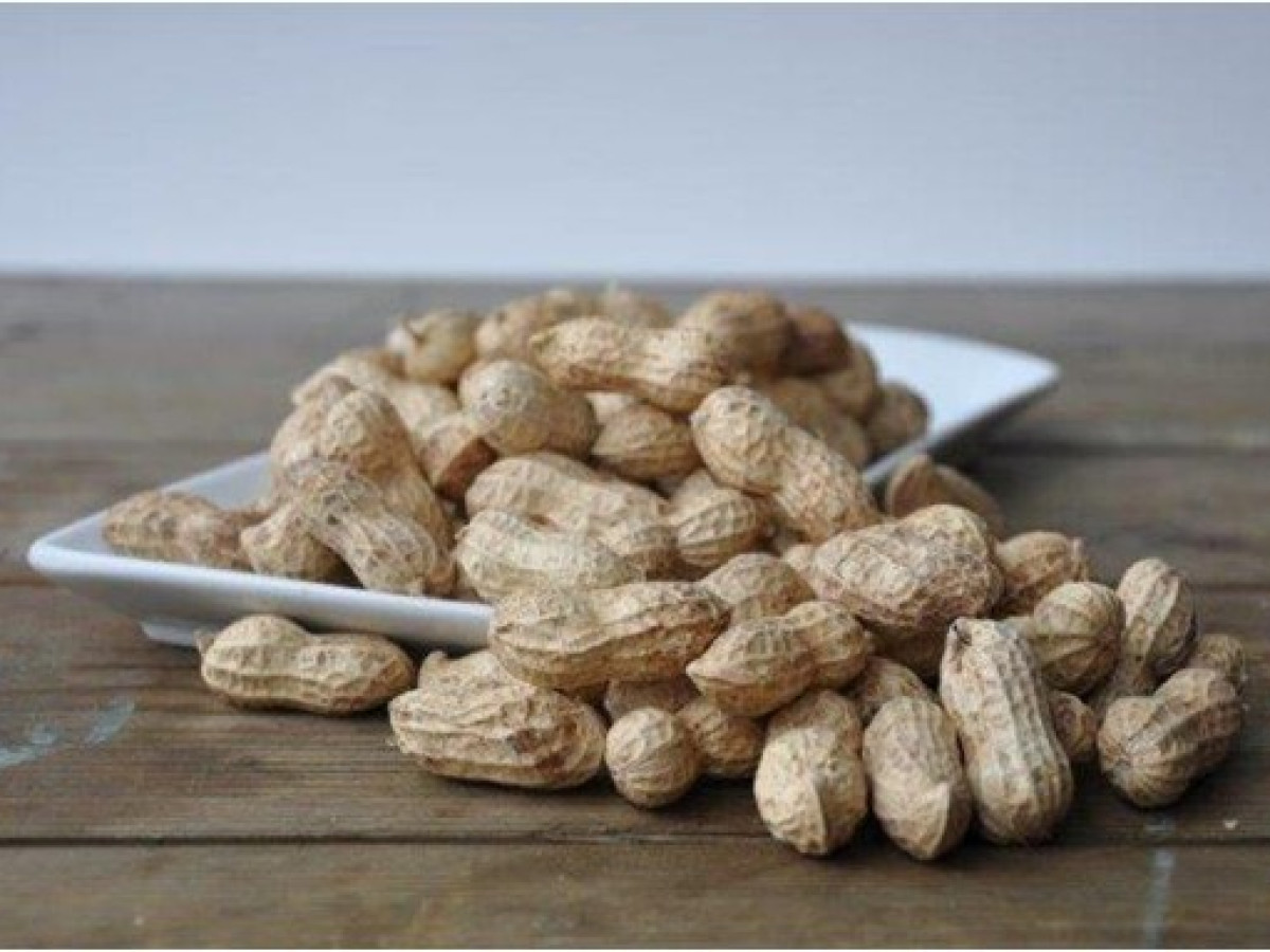 Grote pelpinda's